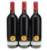 Pavie 1998 - 3