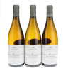 Chassagne Montrachet Les Champs Gains Marc Colin 2011