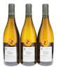Chassagne Montrachet Les Champs Gains Marc Colin 2011 - 3