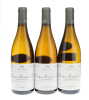 Chassagne Montrachet Les Champs Gains Marc Colin 2011 - 4