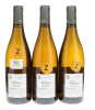 Chassagne Montrachet Les Champs Gains Marc Colin 2011 - 6