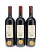 Ornellaia 1999 - 2
