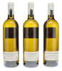 Screaming Eagle Sauvignon Blanc 2022 - 2