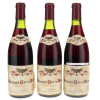 Meursault Cote de Beaune Rouge Coche-Dury 1991