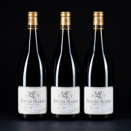Bonnes Mares Lucien Le Moine 2008