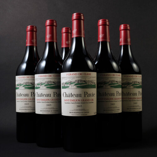 Pavie 2005