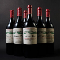 Pavie 2005