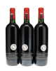 Screaming Eagle Cabernet Sauvignon 2010 - 3