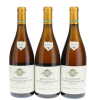 Bienvenues Batard Montrachet Remoissenet 2005
