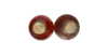 Y "Ygrec" d'Yquem 1959 - 6