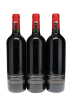 Screaming Eagle Cabernet Sauvignon 2023 - 2