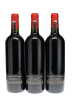Screaming Eagle Cabernet Sauvignon 2022 - 2
