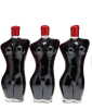 Schrader The Muse MX MMI