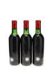 Petrus 1966 - 2