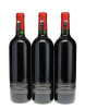 Screaming Eagle Cabernet Sauvignon 2019 - 2