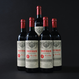 Petrus 2000
