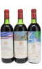 Mouton Rothschild 1980-1989 Vertical - 2