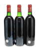 Mouton Rothschild 1980-1989 Vertical - 9