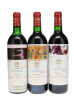 Mouton Rothschild 1990-1999 Vertical - 2