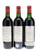 Mouton Rothschild 1990-1999 Vertical - 3
