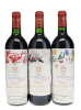 Mouton Rothschild 1990-1999 Vertical - 8