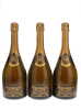 Dom Ruinart Blanc de Blancs 1976 - 4