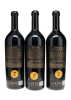 Schrader "Puck" Beckstoffer Georges III Vineyard Cabernet Sauvignon 2009 - 8