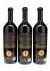 Schrader "Puck" Beckstoffer Georges III Vineyard Cabernet Sauvignon 2009 - 11