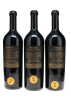 Schrader "Puck" Beckstoffer Georges III Vineyard Cabernet Sauvignon 2009 - 5