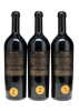 Schrader "Puck" Beckstoffer Georges III Vineyard Cabernet Sauvignon 2009 - 8