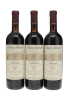 Barolo Prapo Bricco Rocche Ceretto 1990