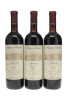 Barolo Prapo Bricco Rocche Ceretto 1990 - 4
