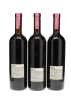 Barolo Prapo Bricco Rocche Ceretto 1990 - 6