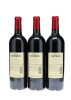 Petrus 2010 - 2