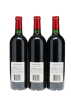 Petrus 2005 - 5