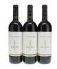 Messorio Le Macchiole 2008 - 2
