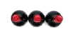 Petrus 2000 - 6