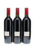 Petrus 2000 - 5