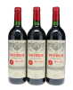 Petrus 2000