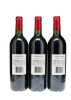 Petrus 2000 - 5