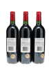 Petrus 2000 - 5