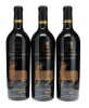 Mouton Rothschild 2000
