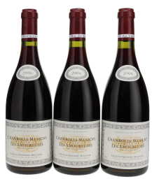 Chambolle Musigny Les Amoureuses JF Mugnier 2006