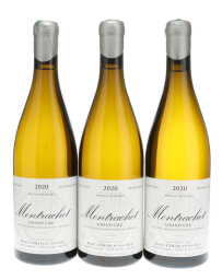 Montrachet Marc Colin 2020