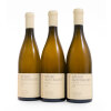 Batard Montrachet Pierre-Yves Colin-Morey 2020