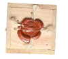 d'Yquem 400th Anniversary Celebration Release 1967 - 4