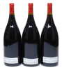 Gevrey Chambertin Clos St Jacques Armand Rousseau 2013 - 3