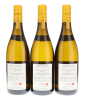Batard Montrachet Domaine Leflaive 2020 - 2