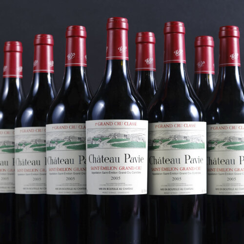 Pavie 2005