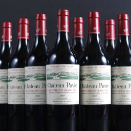 Pavie 2005